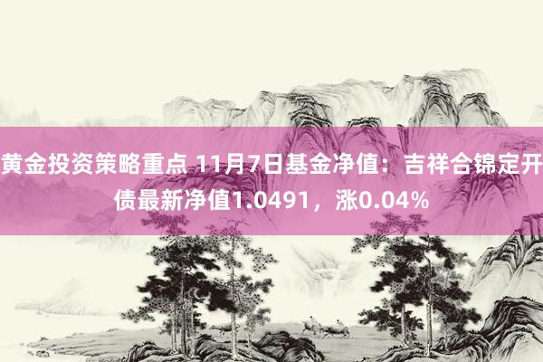 黄金投资策略重点 11月7日基金净值：吉祥合锦定开债最新净值1.0491，涨0.04%