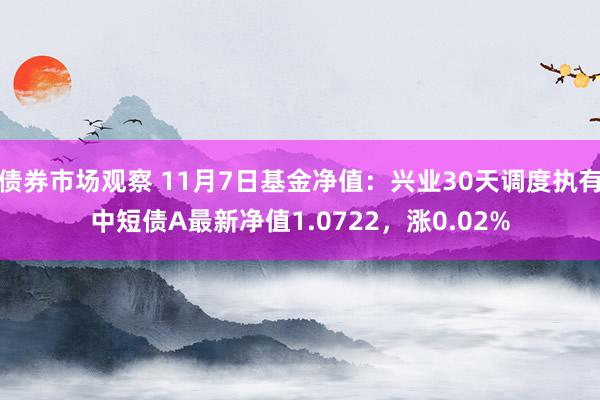 债券市场观察 11月7日基金净值：兴业30天调度执有中短债A最新净值1.0722，涨0.02%