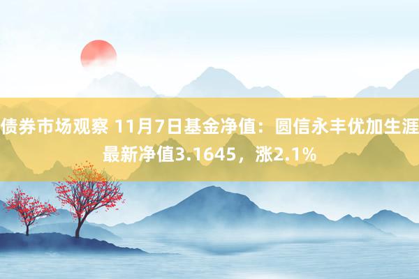 债券市场观察 11月7日基金净值：圆信永丰优加生涯最新净值3.1645，涨2.1%