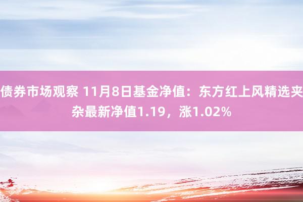 债券市场观察 11月8日基金净值：东方红上风精选夹杂最新净值1.19，涨1.02%