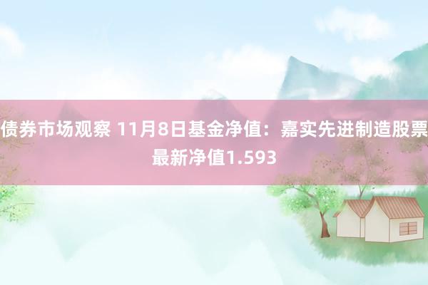 债券市场观察 11月8日基金净值：嘉实先进制造股票最新净值1.593