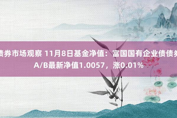 债券市场观察 11月8日基金净值：富国国有企业债债券A/B最新净值1.0057，涨0.01%