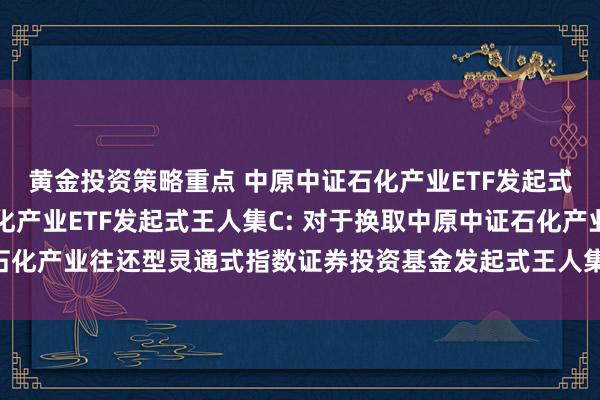 黄金投资策略重点 中原中证石化产业ETF发起式王人集A,中原中证石化产业ETF发起式王人集C: 对于换取中原中证石化产业往还型灵通式指数证券投资基金发起式王人集基金基金司理的公告