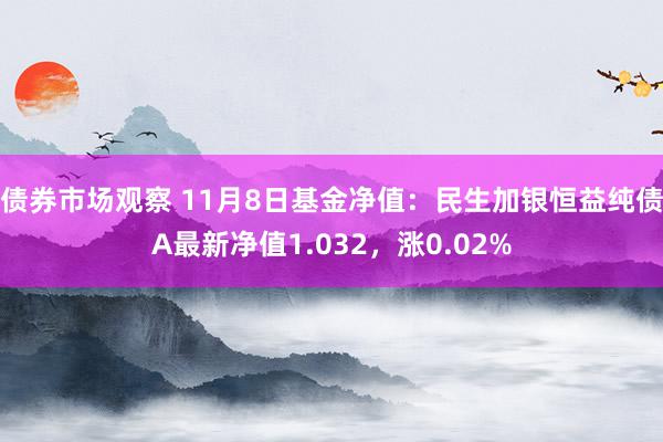 债券市场观察 11月8日基金净值：民生加银恒益纯债A最新净值1.032，涨0.02%