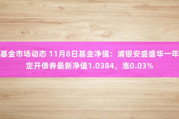 基金市场动态 11月8日基金净值：浦银安盛盛华一年定开债券最新净值1.0384，涨0.03%