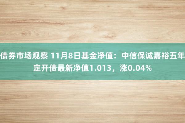 债券市场观察 11月8日基金净值：中信保诚嘉裕五年定开债最新净值1.013，涨0.04%