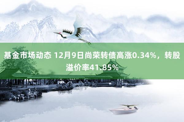 基金市场动态 12月9日尚荣转债高涨0.34%，转股溢价率41.85%