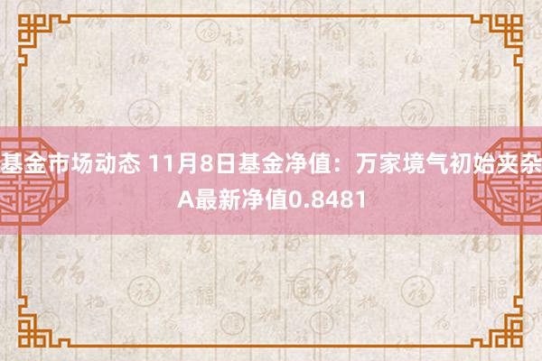 基金市场动态 11月8日基金净值：万家境气初始夹杂A最新净值0.8481