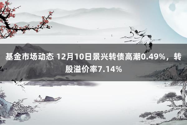 基金市场动态 12月10日景兴转债高潮0.49%，转股溢价率7.14%