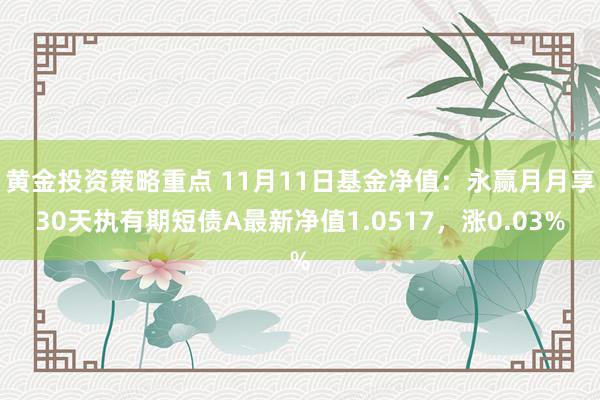 黄金投资策略重点 11月11日基金净值：永赢月月享30天执有期短债A最新净值1.0517，涨0.03%