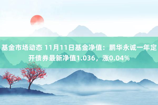 基金市场动态 11月11日基金净值：鹏华永诚一年定开债券最新净值1.036，涨0.04%