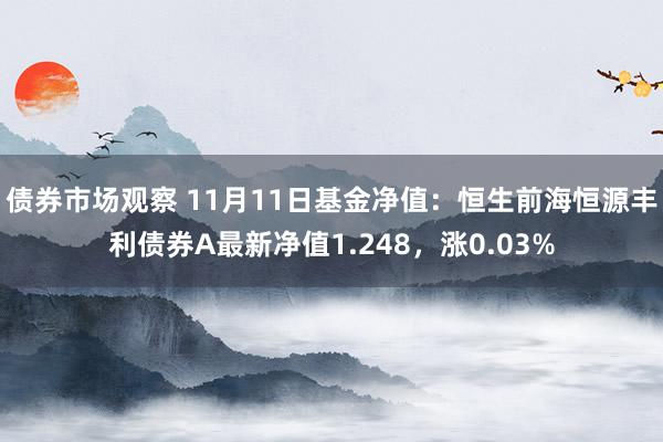 债券市场观察 11月11日基金净值：恒生前海恒源丰利债券A最新净值1.248，涨0.03%