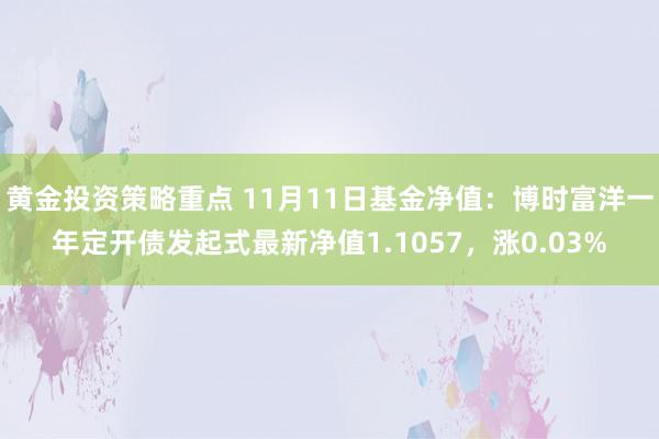 黄金投资策略重点 11月11日基金净值：博时富洋一年定开债发起式最新净值1.1057，涨0.03%