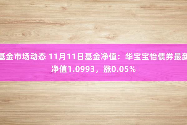 基金市场动态 11月11日基金净值：华宝宝怡债券最新净值1.0993，涨0.05%