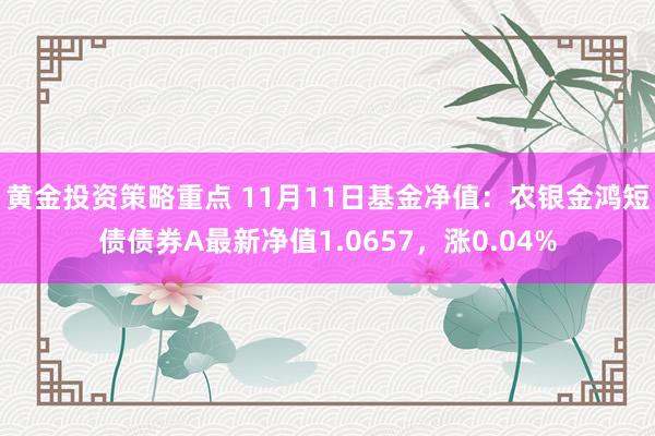 黄金投资策略重点 11月11日基金净值：农银金鸿短债债券A最新净值1.0657，涨0.04%