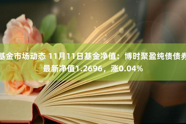 基金市场动态 11月11日基金净值：博时聚盈纯债债券最新净值1.2696，涨0.04%