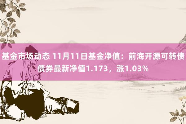 基金市场动态 11月11日基金净值：前海开源可转债债券最新净值1.173，涨1.03%