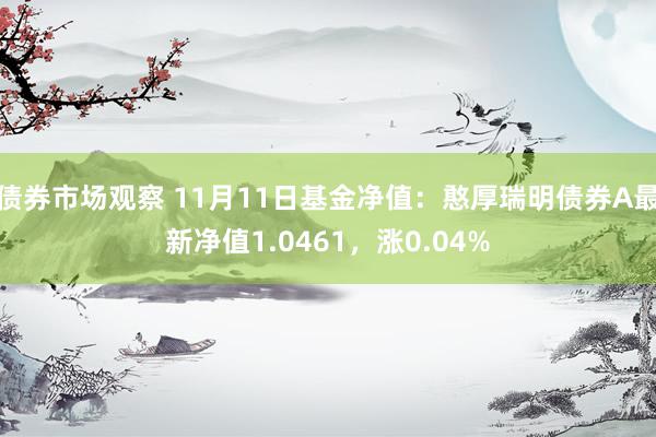 债券市场观察 11月11日基金净值：憨厚瑞明债券A最新净值1.0461，涨0.04%