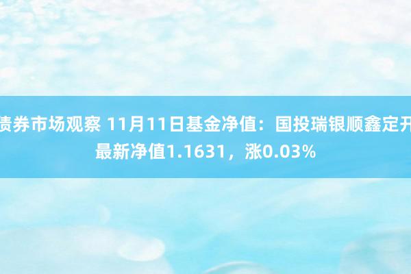 债券市场观察 11月11日基金净值：国投瑞银顺鑫定开最新净值1.1631，涨0.03%