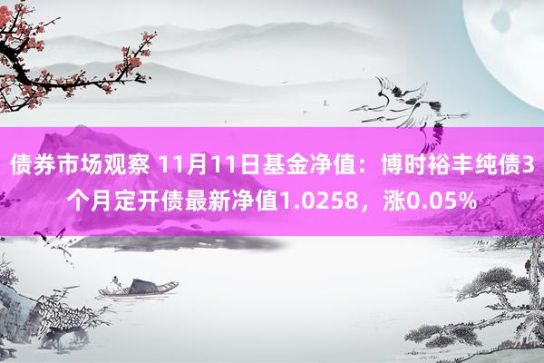 债券市场观察 11月11日基金净值：博时裕丰纯债3个月定开债最新净值1.0258，涨0.05%