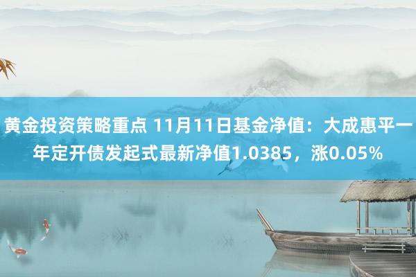 黄金投资策略重点 11月11日基金净值：大成惠平一年定开债发起式最新净值1.0385，涨0.05%