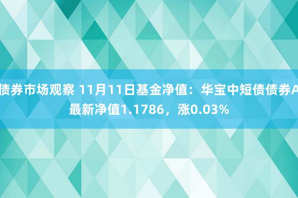 债券市场观察 11月11日基金净值：华宝中短债债券A最新净值1.1786，涨0.03%