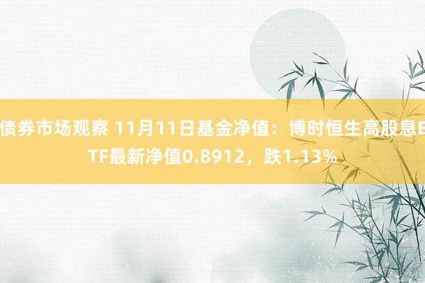 债券市场观察 11月11日基金净值：博时恒生高股息ETF最新净值0.8912，跌1.13%