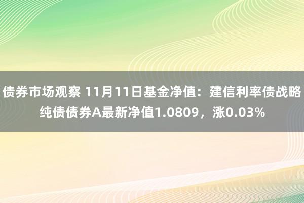 债券市场观察 11月11日基金净值：建信利率债战略纯债债券A最新净值1.0809，涨0.03%