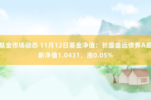 基金市场动态 11月12日基金净值：长盛盛远债券A最新净值1.0431，涨0.05%