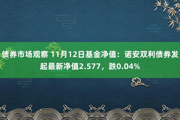 债券市场观察 11月12日基金净值：诺安双利债券发起最新净值2.577，跌0.04%