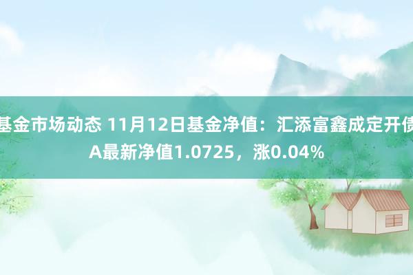 基金市场动态 11月12日基金净值：汇添富鑫成定开债A最新净值1.0725，涨0.04%