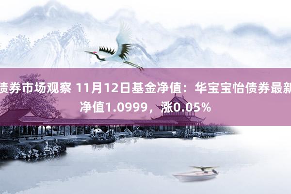 债券市场观察 11月12日基金净值：华宝宝怡债券最新净值1.0999，涨0.05%