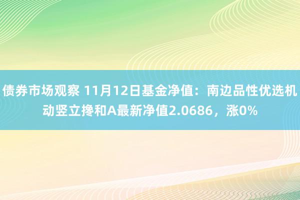 债券市场观察 11月12日基金净值：南边品性优选机动竖立搀和A最新净值2.0686，涨0%