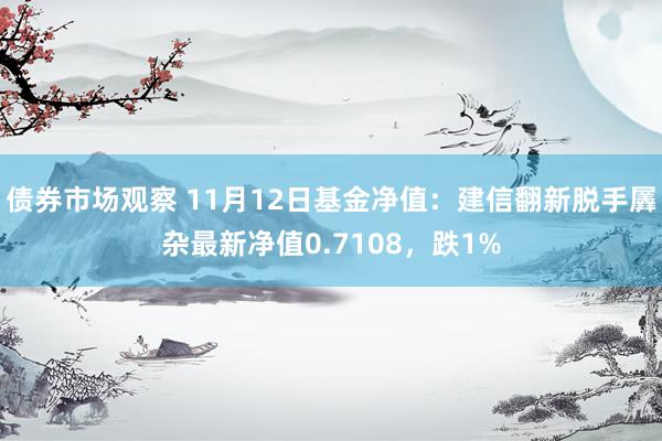 债券市场观察 11月12日基金净值：建信翻新脱手羼杂最新净值0.7108，跌1%