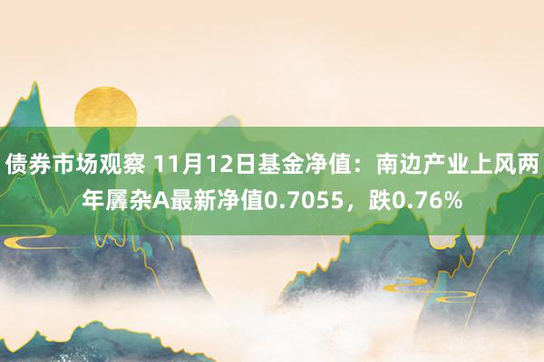 债券市场观察 11月12日基金净值：南边产业上风两年羼杂A最新净值0.7055，跌0.76%