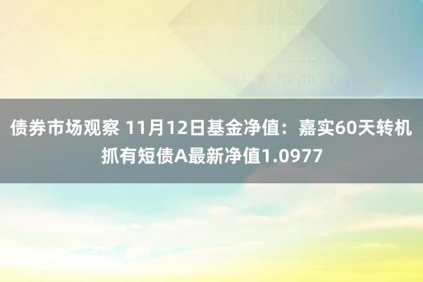 债券市场观察 11月12日基金净值：嘉实60天转机抓有短债A最新净值1.0977