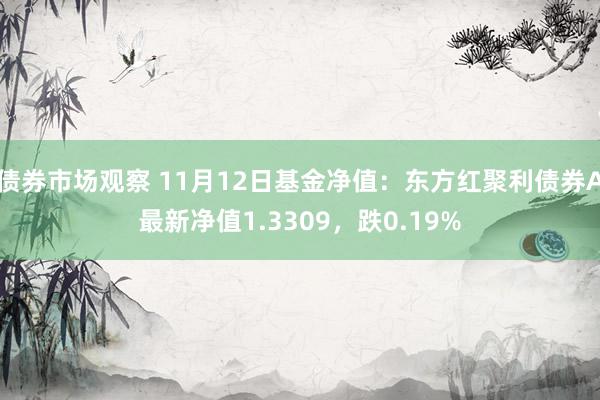 债券市场观察 11月12日基金净值：东方红聚利债券A最新净值1.3309，跌0.19%