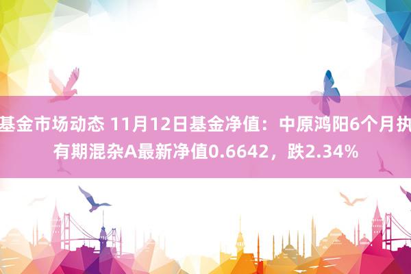 基金市场动态 11月12日基金净值：中原鸿阳6个月执有期混杂A最新净值0.6642，跌2.34%