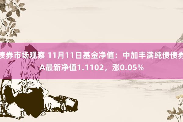 债券市场观察 11月11日基金净值：中加丰满纯债债券A最新净值1.1102，涨0.05%