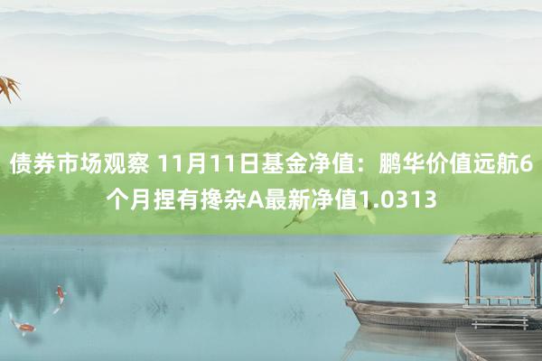 债券市场观察 11月11日基金净值：鹏华价值远航6个月捏有搀杂A最新净值1.0313