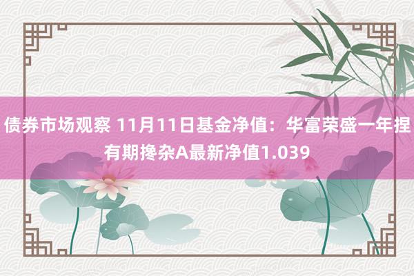 债券市场观察 11月11日基金净值：华富荣盛一年捏有期搀杂A最新净值1.039