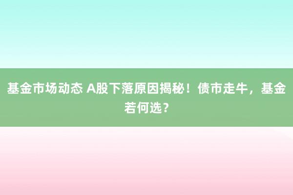 基金市场动态 A股下落原因揭秘！债市走牛，基金若何选？