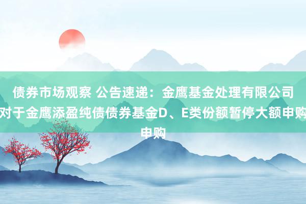 债券市场观察 公告速递：金鹰基金处理有限公司对于金鹰添盈纯债债券基金D、E类份额暂停大额申购