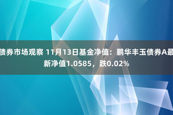 债券市场观察 11月13日基金净值：鹏华丰玉债券A最新净值1.0585，跌0.02%