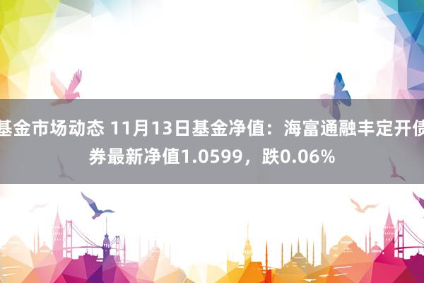 基金市场动态 11月13日基金净值：海富通融丰定开债券最新净值1.0599，跌0.06%