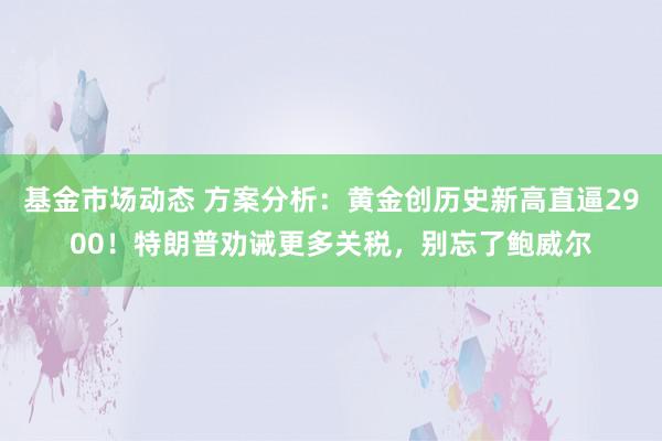 基金市场动态 方案分析：黄金创历史新高直逼2900！特朗普劝诫更多关税，别忘了鲍威尔