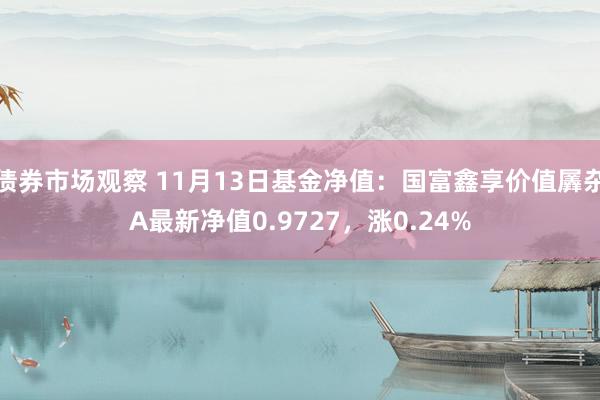 债券市场观察 11月13日基金净值：国富鑫享价值羼杂A最新净值0.9727，涨0.24%