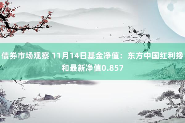 债券市场观察 11月14日基金净值：东方中国红利搀和最新净值0.857