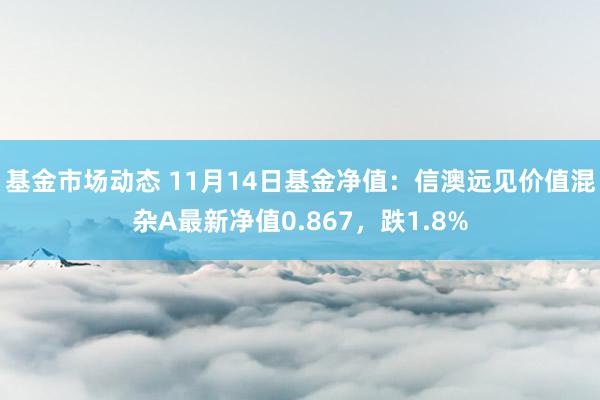 基金市场动态 11月14日基金净值：信澳远见价值混杂A最新净值0.867，跌1.8%