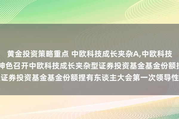 黄金投资策略重点 中欧科技成长夹杂A,中欧科技成长夹杂C: 对于以通信神色召开中欧科技成长夹杂型证券投资基金基金份额捏有东谈主大会第一次领导性公告